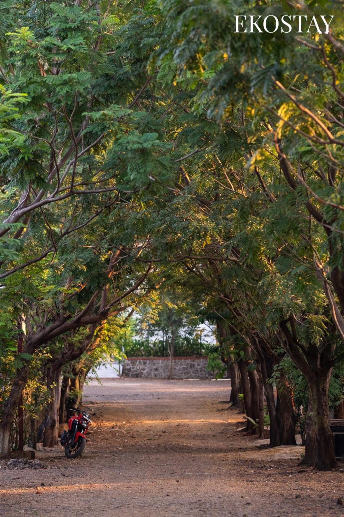 Ekostay - Alpha Villa Igatpuri